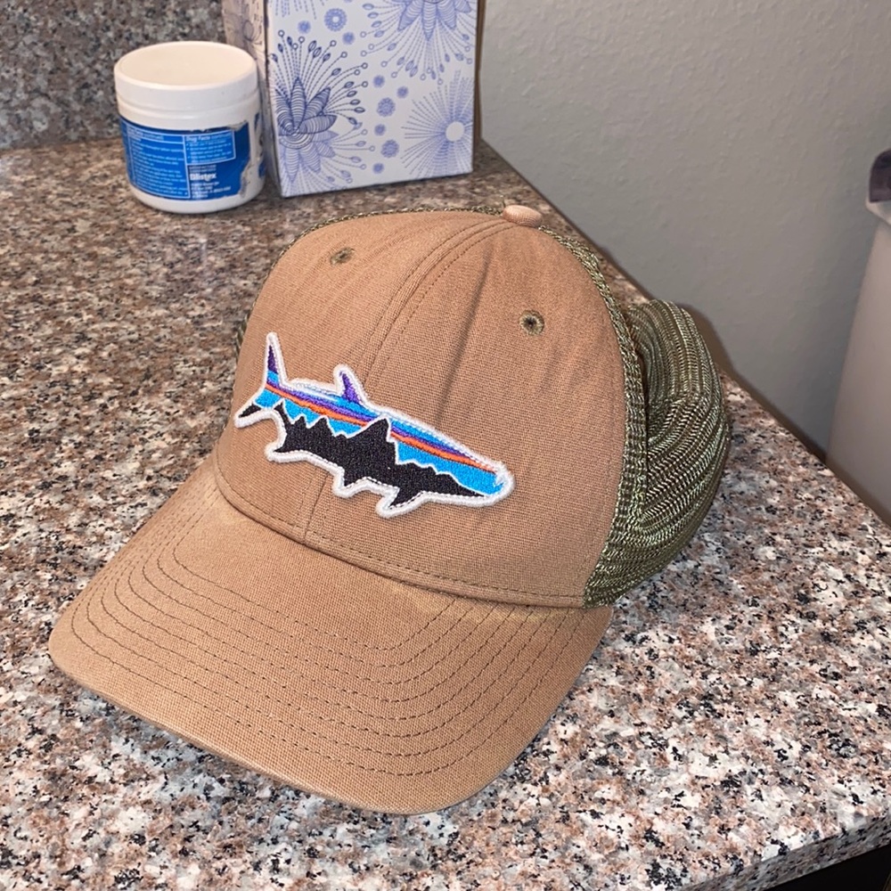 Patagonia fitz Roy trucker hat
